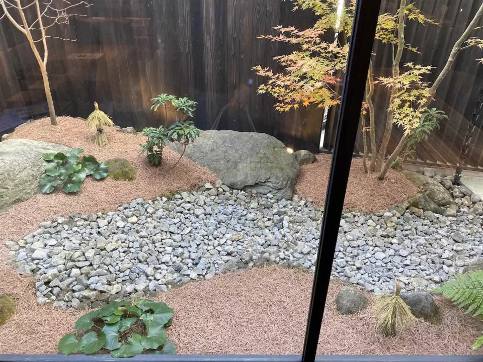 敷松葉と雪吊り 庭の冬化粧 1 IMG 13201