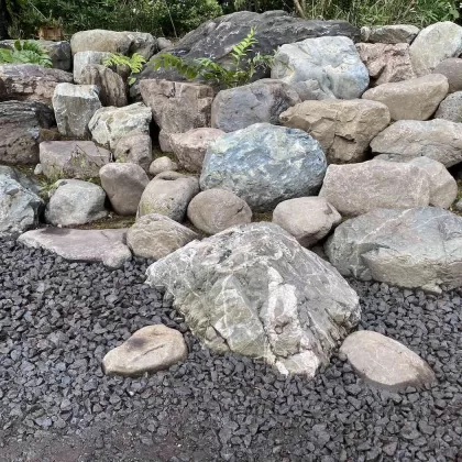崩れ積みからロックガーデンへと変化する土留め石積み工事 11 神奈川県茅ヶ崎市の崩れ石積み工事完成風景の一コマ、亀石を仕込んだ様子