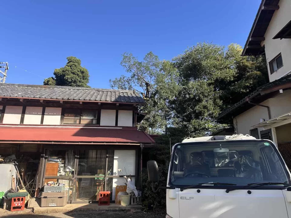 自然樹形を重視した大木の仕立て直し 4 IMG 59041